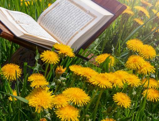 Open Qur'an resting outdoors